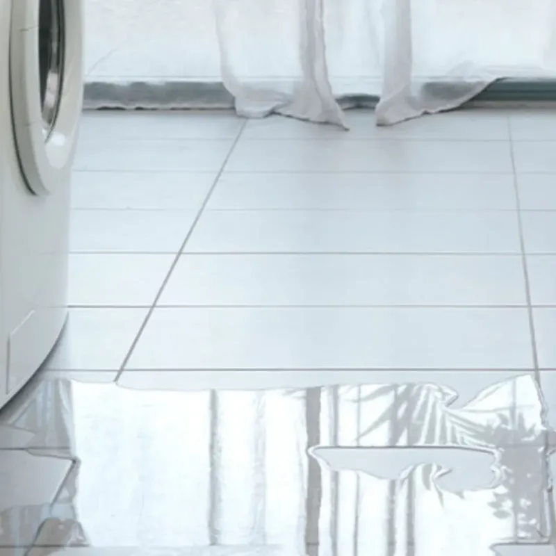 Appliance Leak Cleanup in Shady Hills, FL