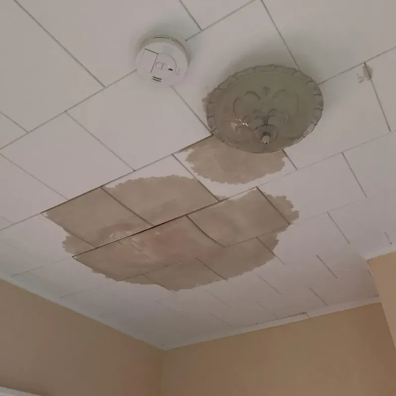 Ceiling Water Damage Repair in Shady Hills, FL